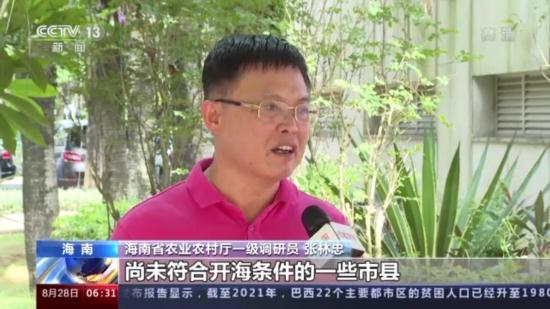 海南：第一批符合条件的市县恢复渔船出海作业