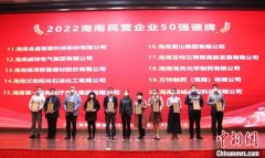 2022海南民营企业50强和研