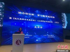 商业创新活力强劲，重点