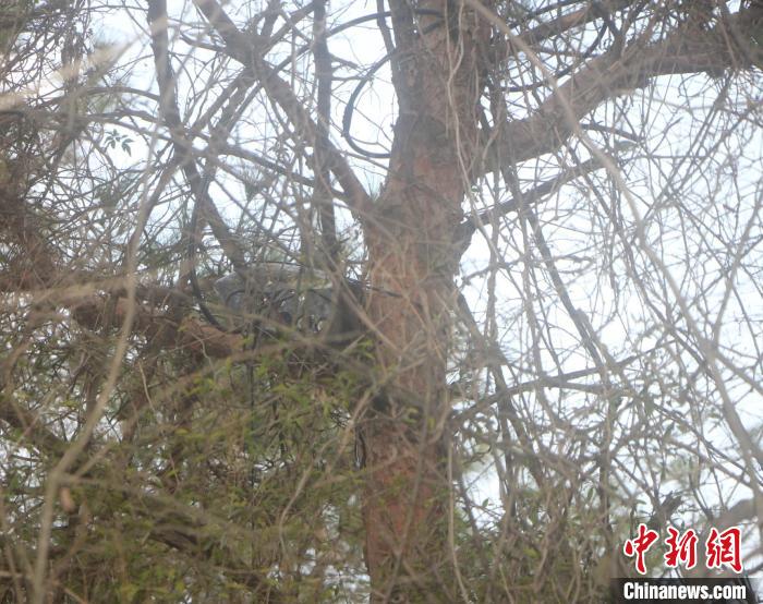 湖北荆门警方端掉一跨11省“黑广播”犯罪团伙