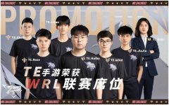 第二届WRL升降级赛中，TE战队