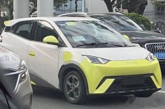 全新A00级纯电轿车海鸥有望于
