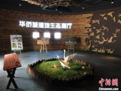 广东省林业局：截至2022年底，