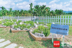 从“污水靠蒸发”到“清水绕