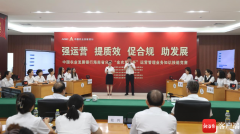 提升运营管理质效，助力全行