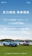 比亚迪宋PLUS荣耀版斩获全品类