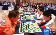 2024年第四届全国国际象棋棋协