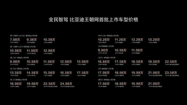 比亚迪智驾下饺子 7万的车也有NOA 王传福：要像安全带一样标配