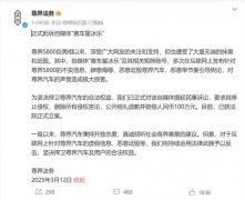 赛车星冰乐：模仿尊界法务维